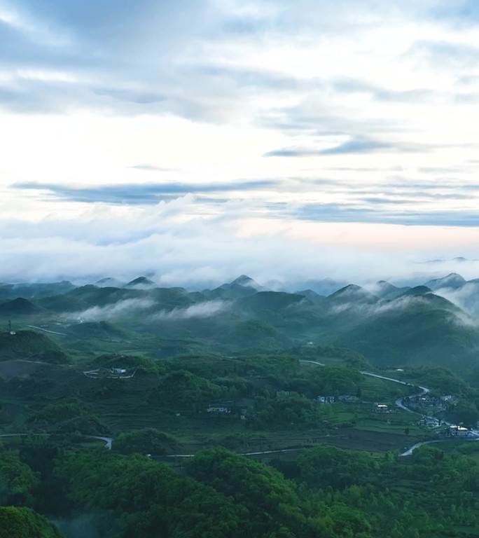 竖屏航拍贵州百里杜鹃普底景区云雾缭绕