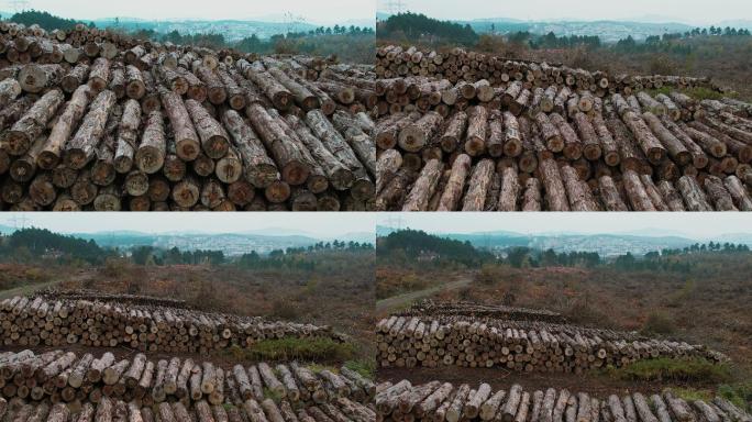 4K森林采伐树木鸟瞰图-砍伐树木-毁林