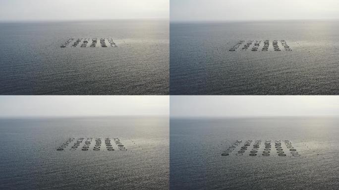 用无人机拍摄鱼场4K鸟瞰图