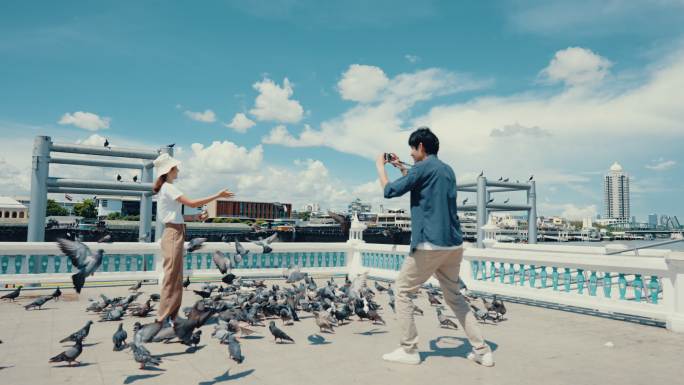 度假旅行的夫妇鸽子广场喂养鸽子鸽子