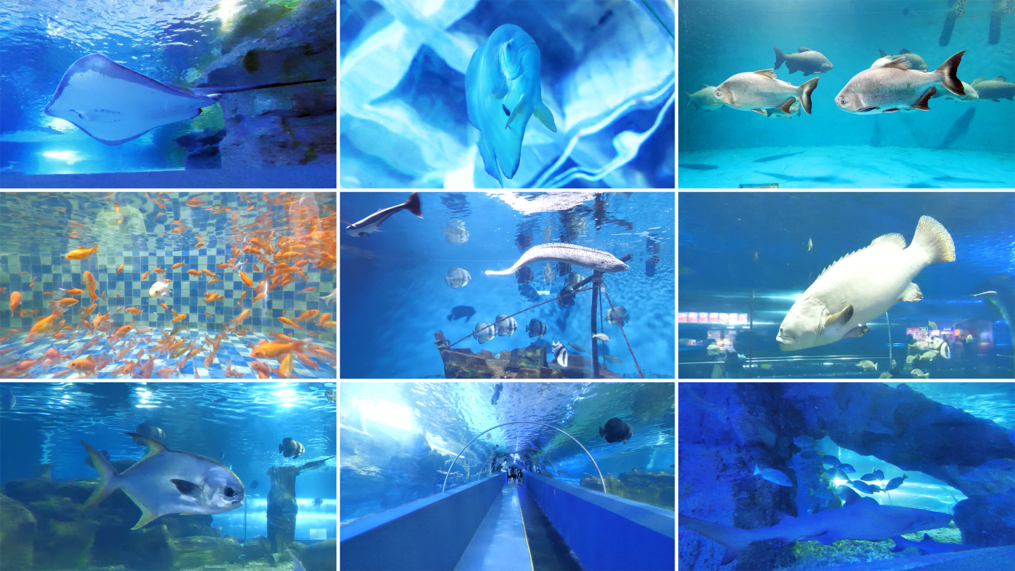 海底世界B水族馆