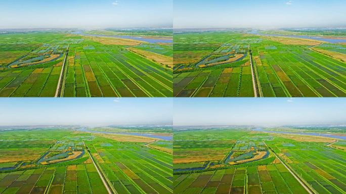 黄河稻田灌区-万亩良田农业大景