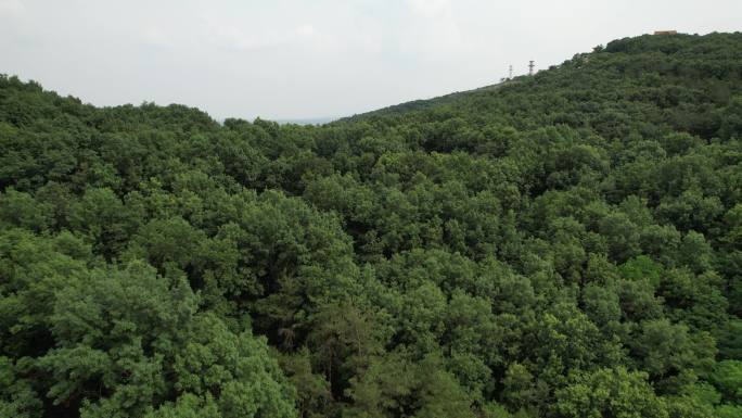 驻马店确山县盘龙山