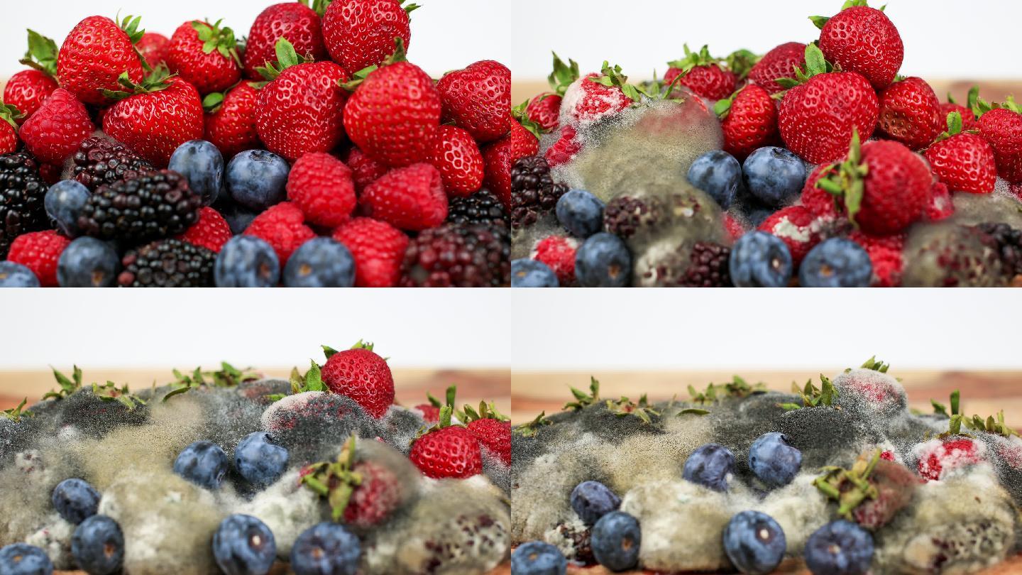 腐烂的浆果腐烂的水果水果腐烂延时草莓蓝莓