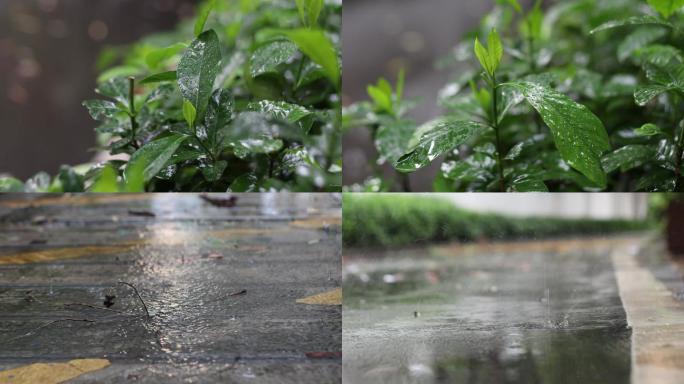 雨天雨景