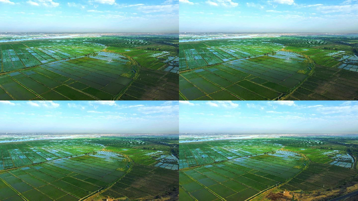 黄河灌区水稻基地-万亩良田农业大景