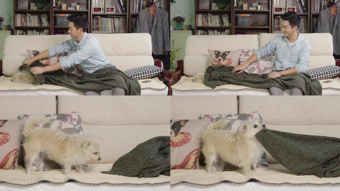 4k男生帅哥沙发上看书给小狗披毛毯