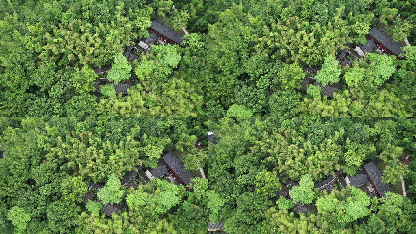 台州温岭明因讲寺4K航拍DJI_0918