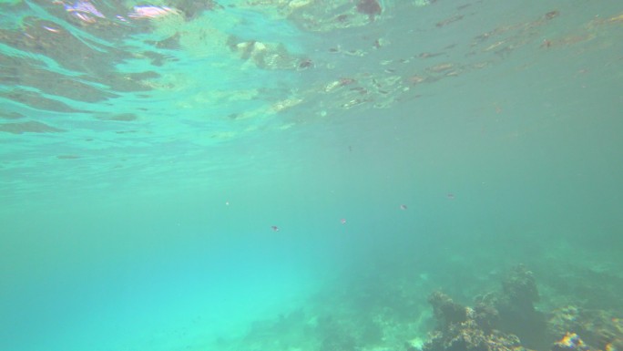 塞舌尔迪格岛POV浮潜
