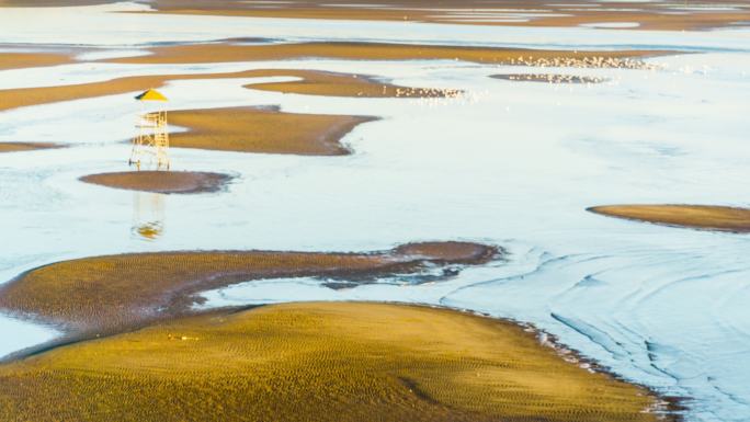 中国秦皇岛，冬天鸟儿在北戴河浅滩休息