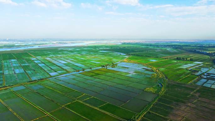 黄河灌区渔米之乡-粮食产区航拍农业大景