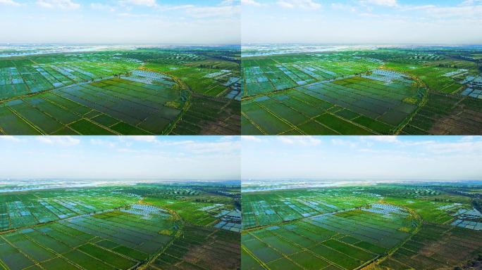 黄河灌区渔米之乡-粮食产区航拍农业大景