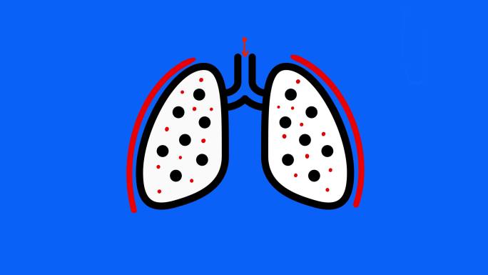 肺部动画呼吸系统