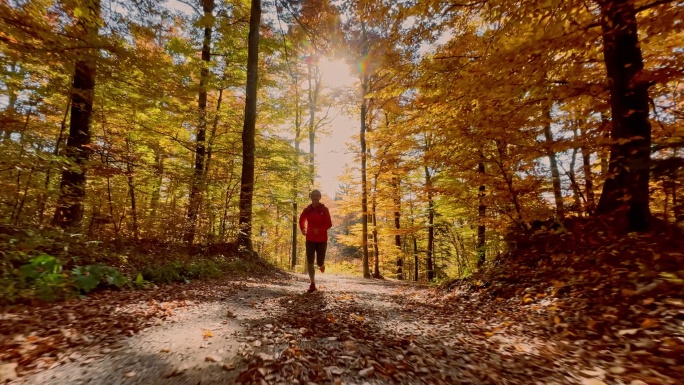 TS秋天在阳光明媚的森林中跑步的女人