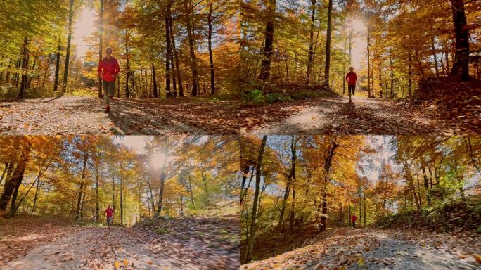 TS秋天在阳光明媚的森林中跑步的女人