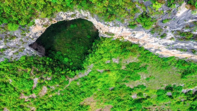 原始森林中有一个巨大的洞穴