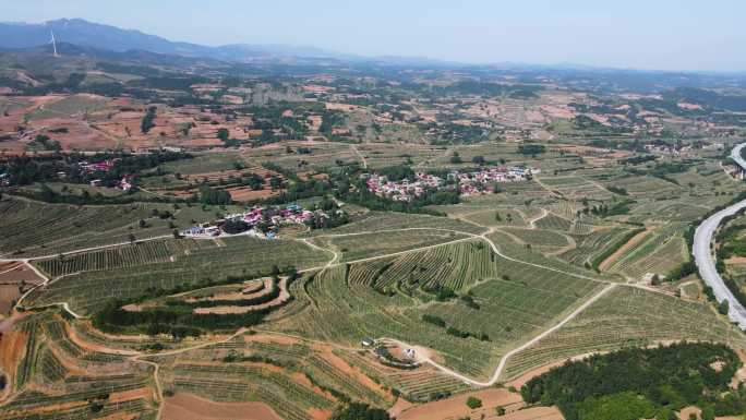 航拍乡村振兴产业苹果种植基地B