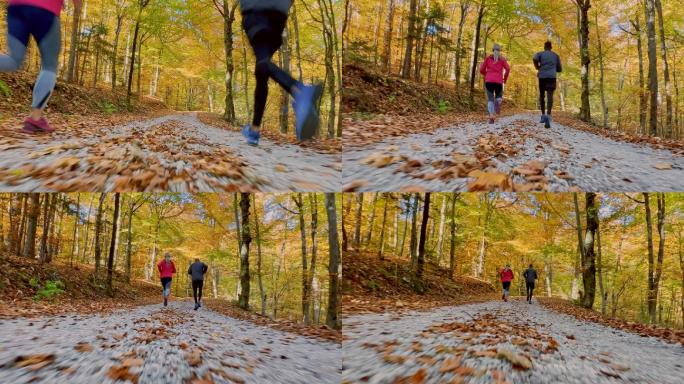 秋天，男人和女人在森林小道上奔跑