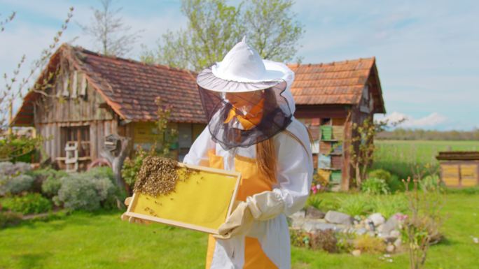 快乐的养蜂人正在检查装满蜜蜂的蜂巢架