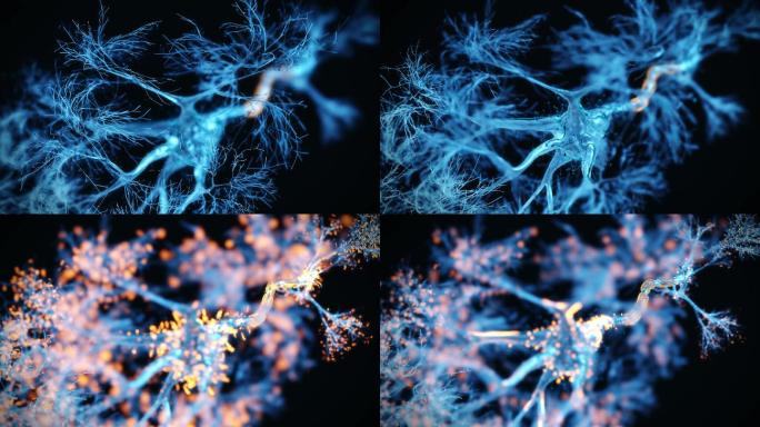 神经元系统全息图大脑神经元神经突出人类大