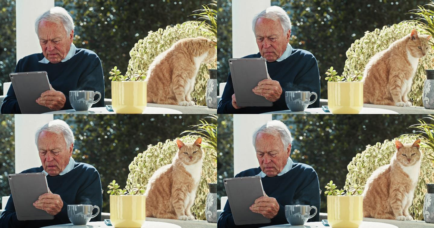 4k视频片段，一名老人和他的猫坐在外面，使用数字平板电脑