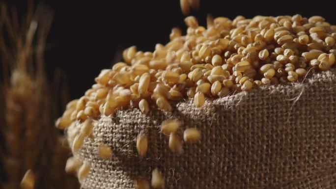 小麦落入装满的麻袋里2