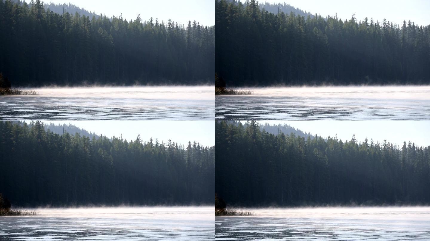 山湖晨雾森林树林河流湖泊