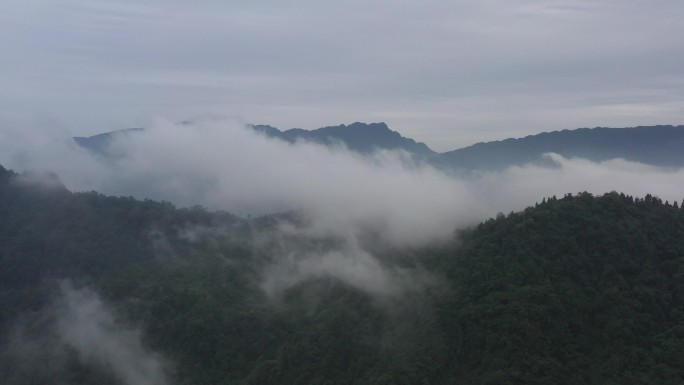 云雾青山航拍