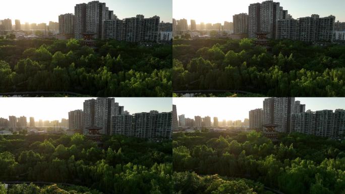 西安丰庆公园航拍4K西安公园地产片头素材