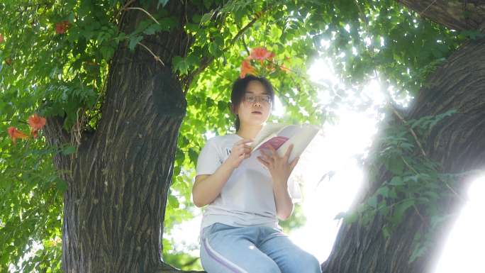 户外靠在树上阅读学朗读