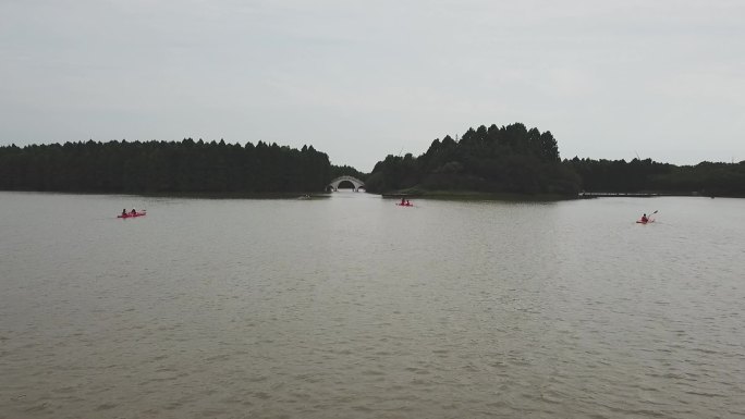 奉贤光明海湾国家森林公园航拍皮划艇素材