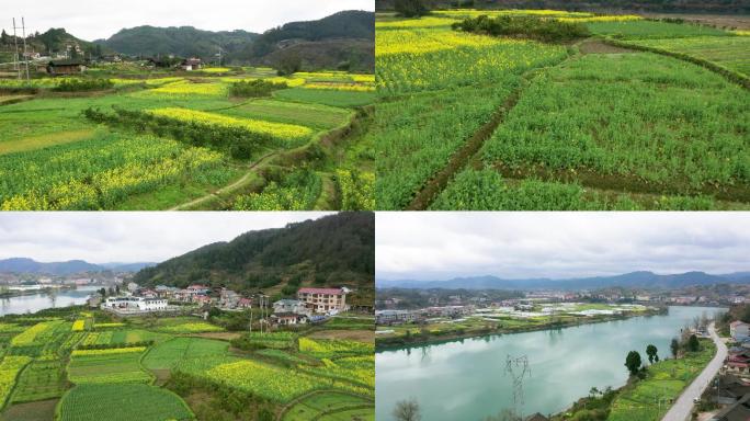 油菜花田 美丽村落 田间人文 小城美景