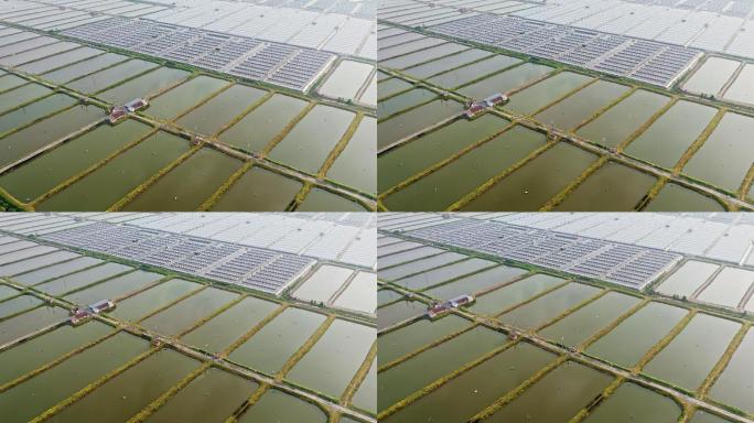 生态环境大型人工养鱼池