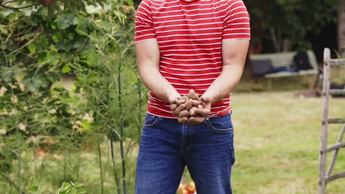 肖像快乐的男人在花园里拿着收获的小土豆
