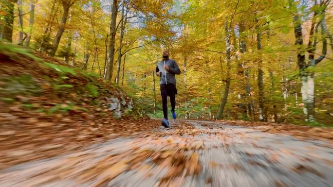 男子跑步运动员在秋天沿着森林小道奔跑