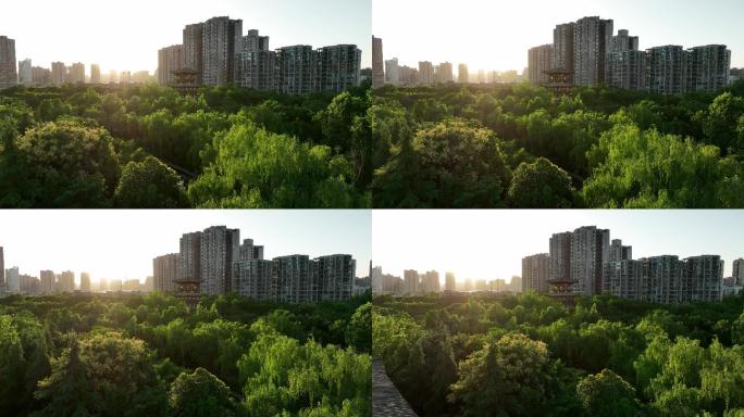 西安丰庆公园航拍4K西安公园地产片头素材
