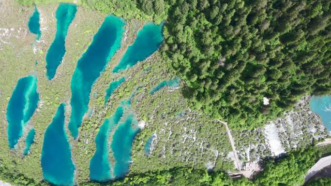 四川阿坝宣传片九寨沟景区航拍摄影