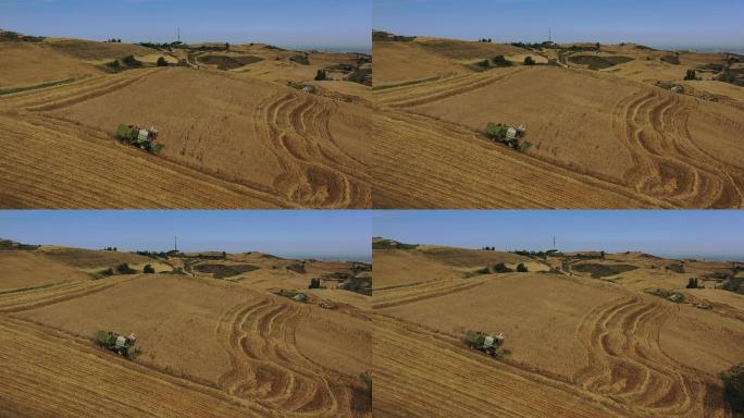 原创新疆奇台江布拉克麦田乡村田园秋天风光