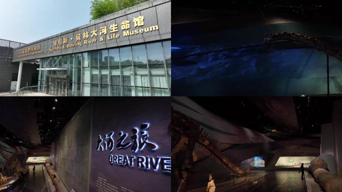 武汉自然博物馆 恐龙 展览