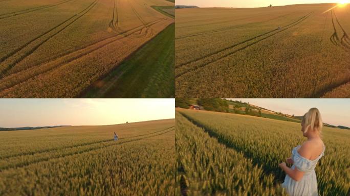 夕阳下，一个空中的懒妇穿过一片麦田
