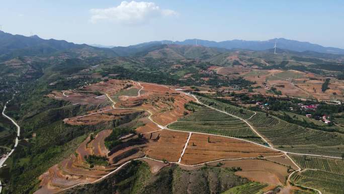 航拍乡村振兴产业苹果种植基地B