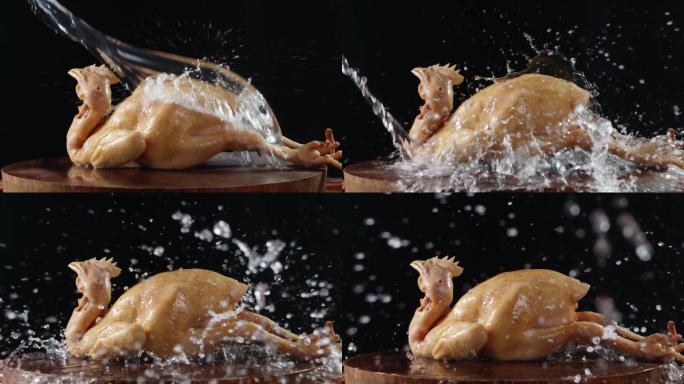 整只鸡被泼水