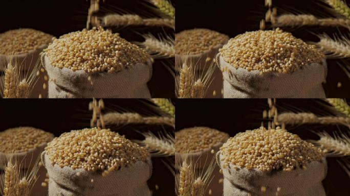 小麦落入装满麦子的麻袋里