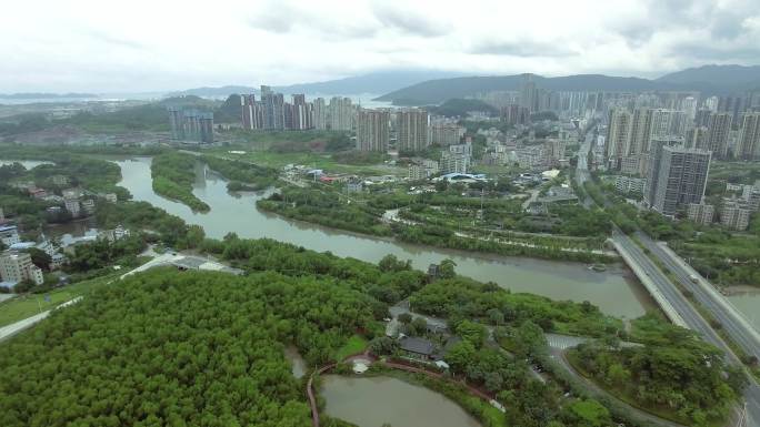 惠州大亚湾红树林公园航拍