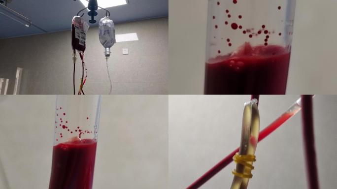 输血无偿献血宣传素材