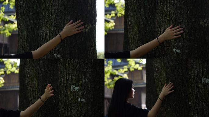 女孩 抚摸 树木