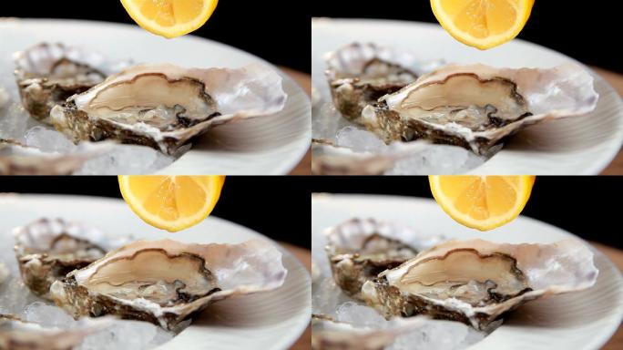 牡蛎海鲜高速镜头合集帝王蟹螃蟹蛤蚌牡蛎扇