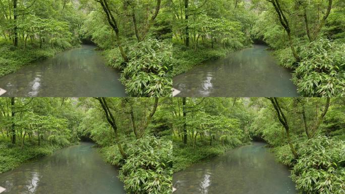 浙江温州楠溪江石桅岩景区
