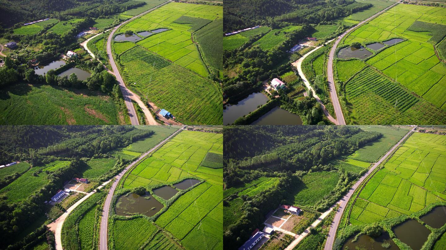 农田鸟瞰图田野郊区