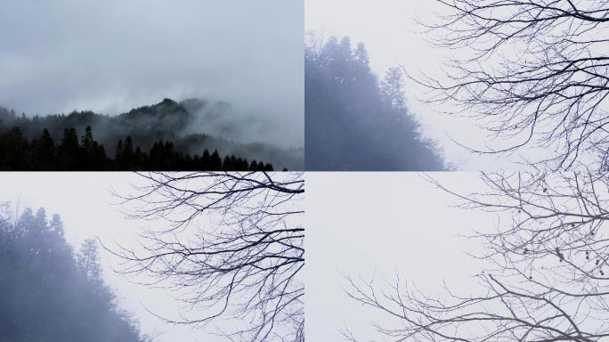 雪峰山迷雾弥漫 风云变幻 自然水墨 意境